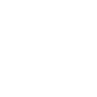 Holden Logo